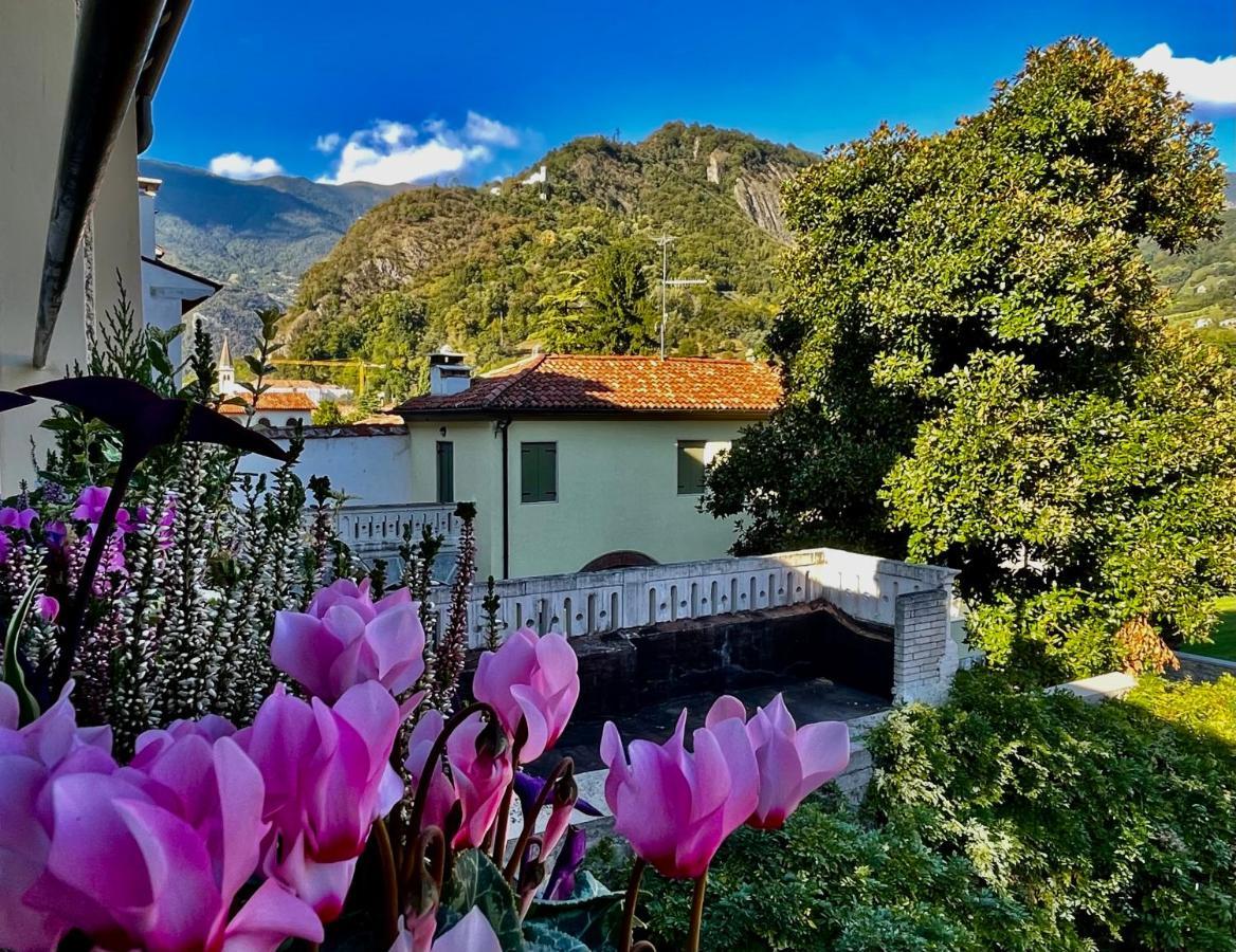 Casa Alpha Hotel Vittorio Veneto Exterior photo